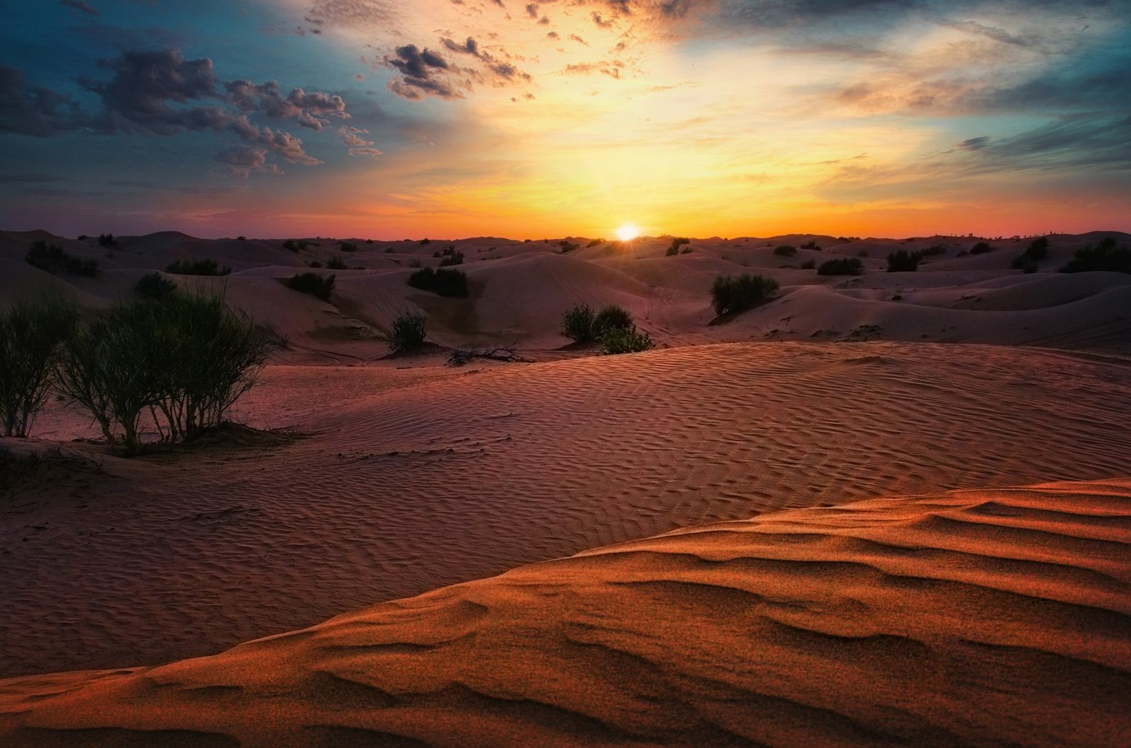 Sand dunes in the Dubai desert at sunset